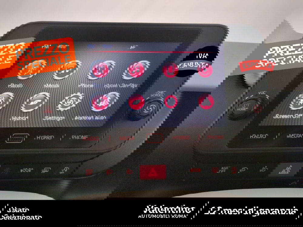 Fiat Panda Cross usata a Roma (16)