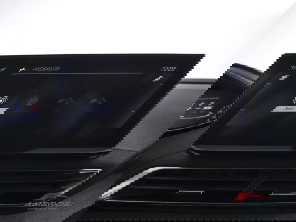 Peugeot 3008 usata a Perugia (15)