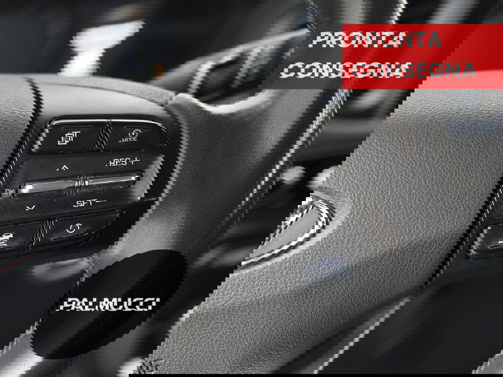 Hyundai Ioniq usata a Prato (17)