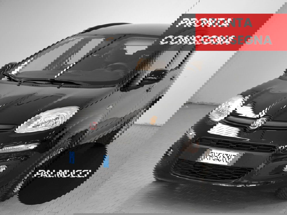 Fiat Panda usata a Prato