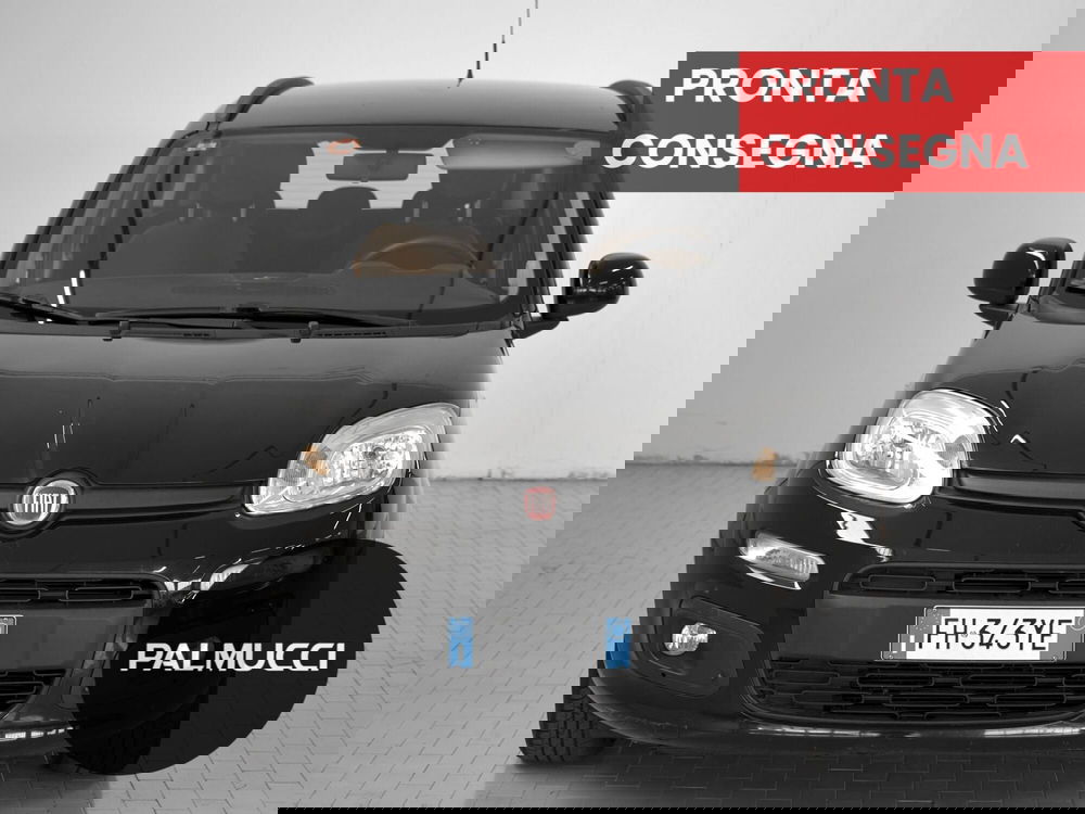 Fiat Panda usata a Prato (2)