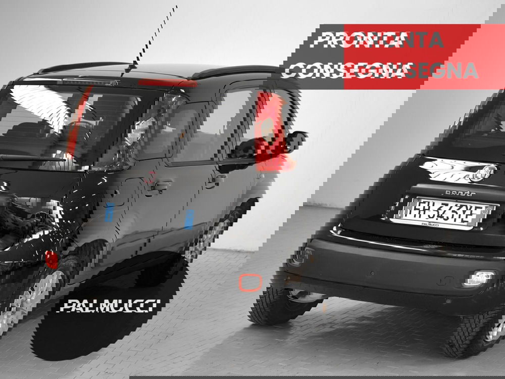 Fiat Panda usata a Prato (3)