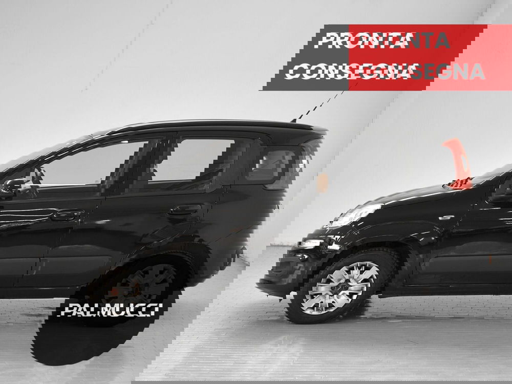 Fiat Panda usata a Prato (4)