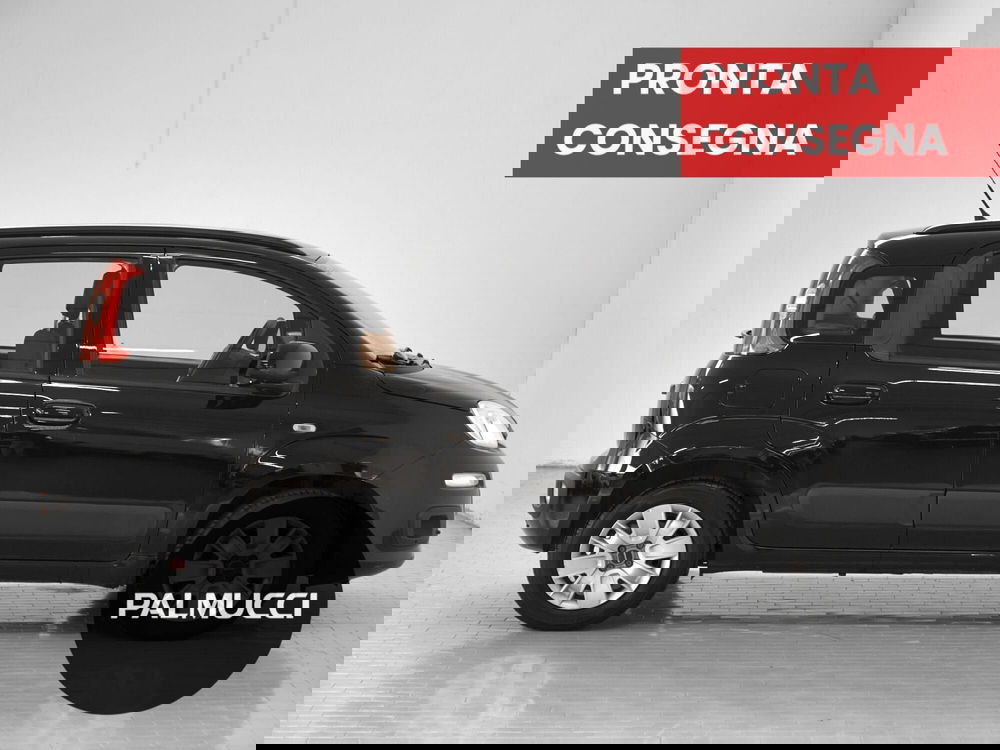 Fiat Panda usata a Prato (5)