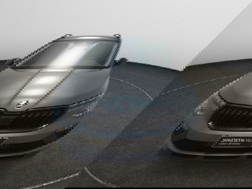 Skoda Kamiq usata a Torino (2)