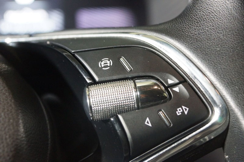 Skoda Kodiaq usata a Torino (14)