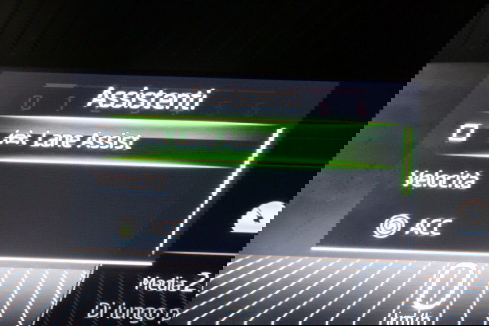 Skoda Kodiaq usata a Torino (15)