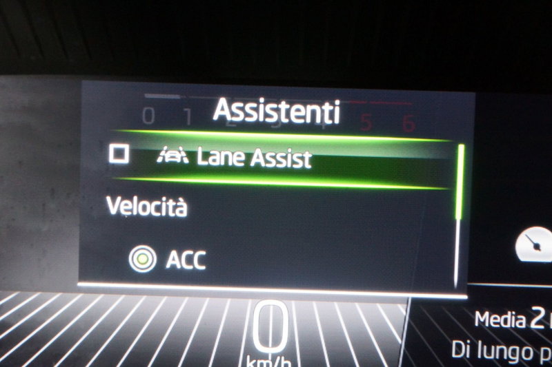 Skoda Kodiaq usata a Torino (15)