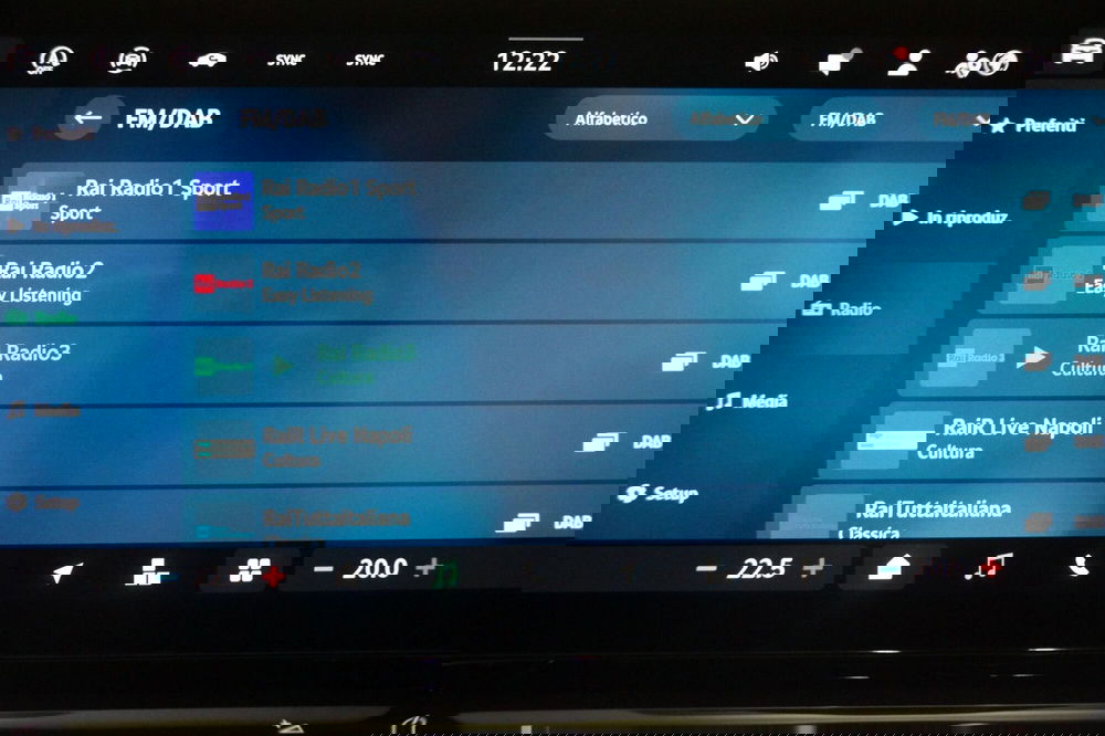 Skoda Octavia Station Wagon usata a Torino (19)