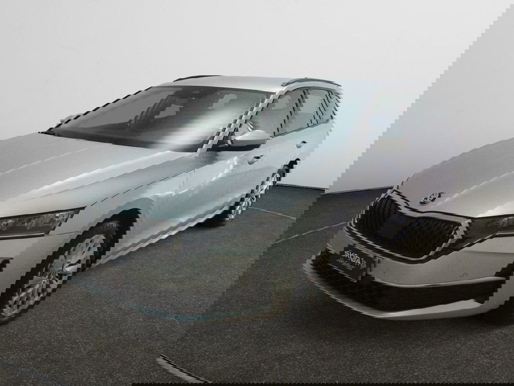 Skoda Octavia Station Wagon usata a Torino (3)