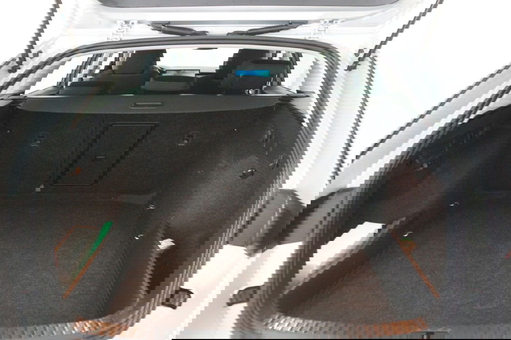 Skoda Octavia Station Wagon usata a Torino (7)