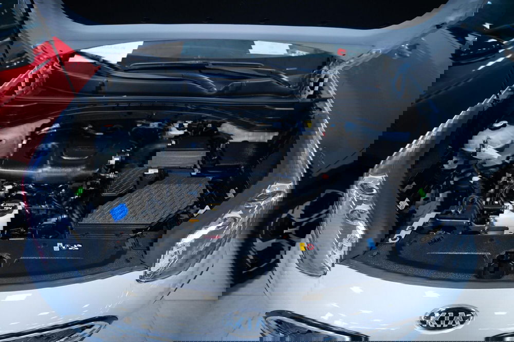 Kia Sportage usata a Torino (15)