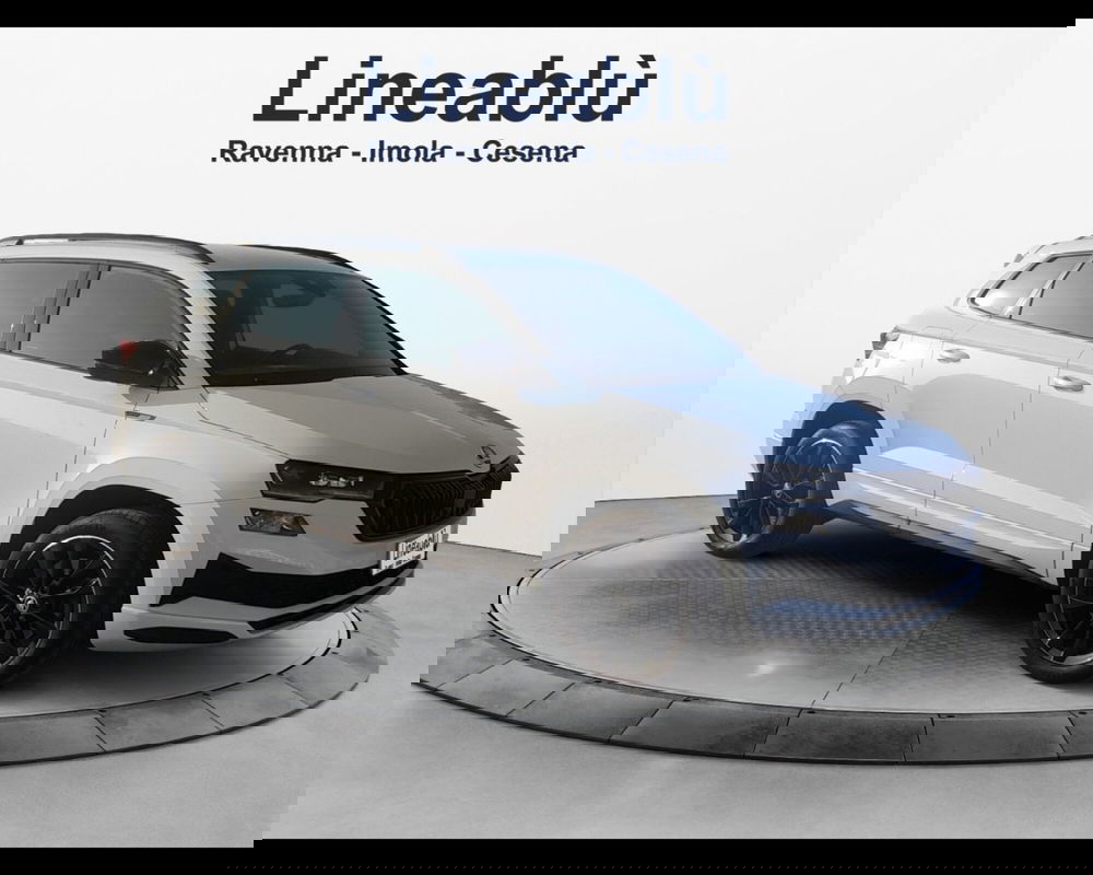 Skoda Karoq usata a Forlì-Cesena (7)