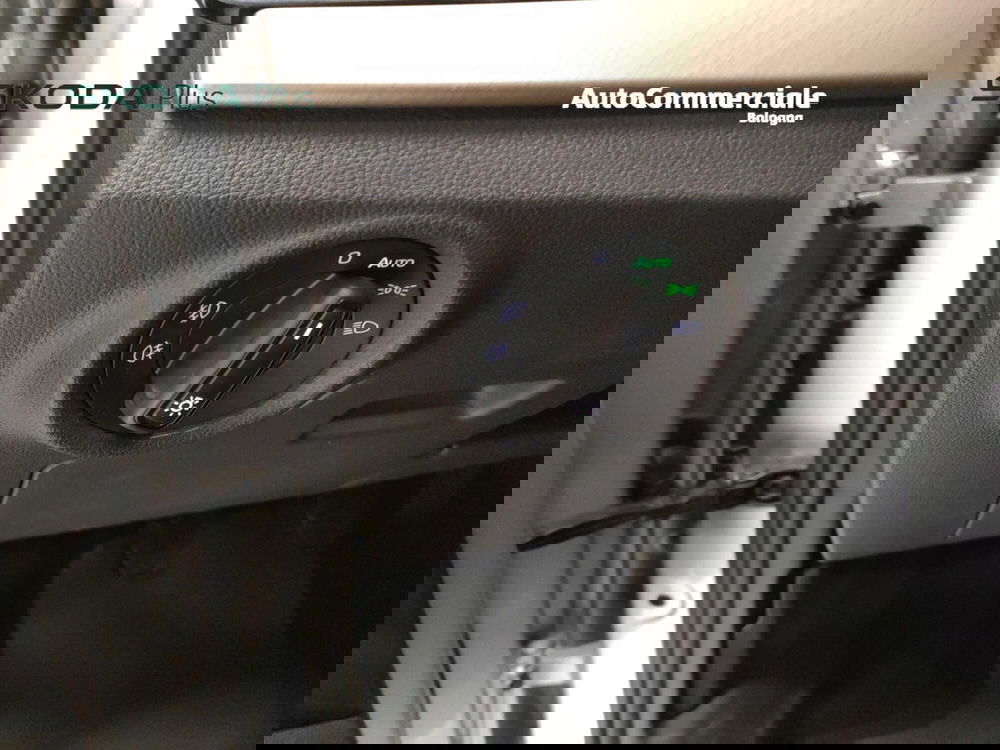 Skoda Kamiq usata a Bologna (10)