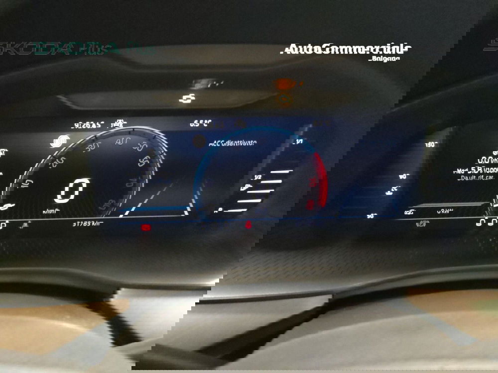 Skoda Kamiq usata a Bologna (12)