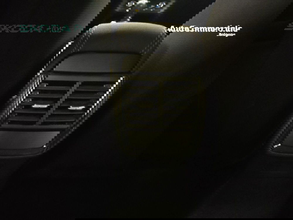 Skoda Kamiq usata a Bologna (16)