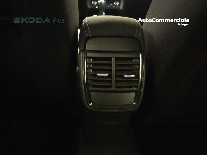 Skoda Kamiq usata a Bologna (16)