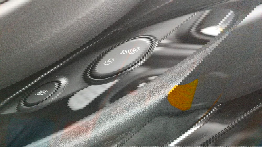 smart forfour usata a Firenze (17)