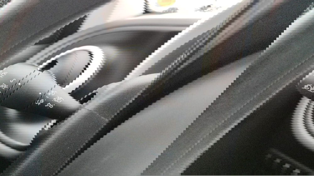 smart forfour usata a Firenze (18)