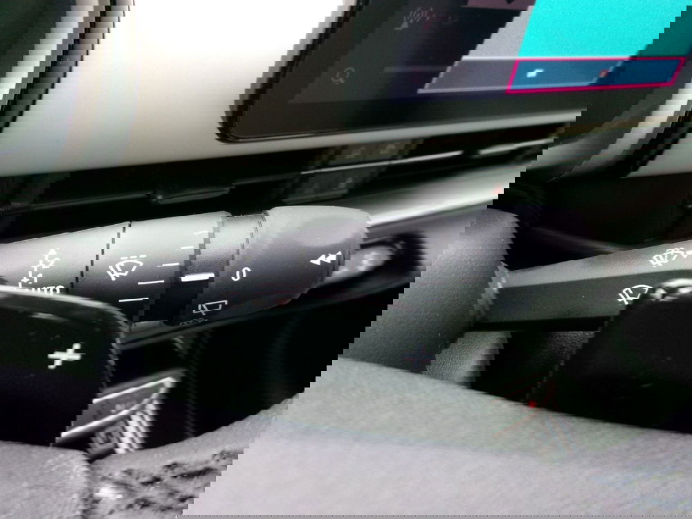 Fiat 600 usata a Venezia (20)