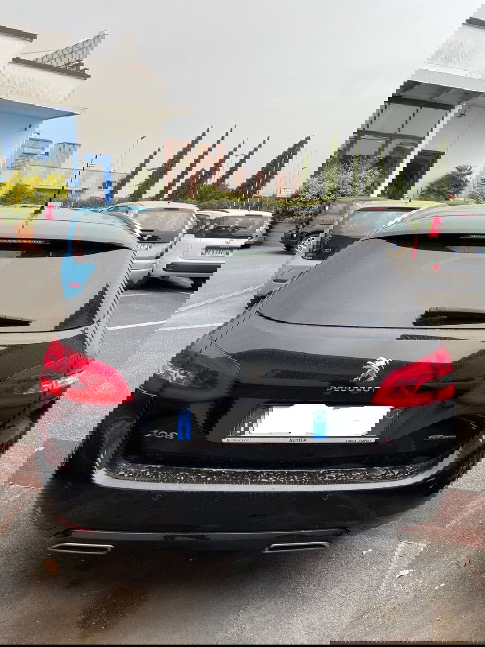 Peugeot 308 SW usata a Lucca (5)