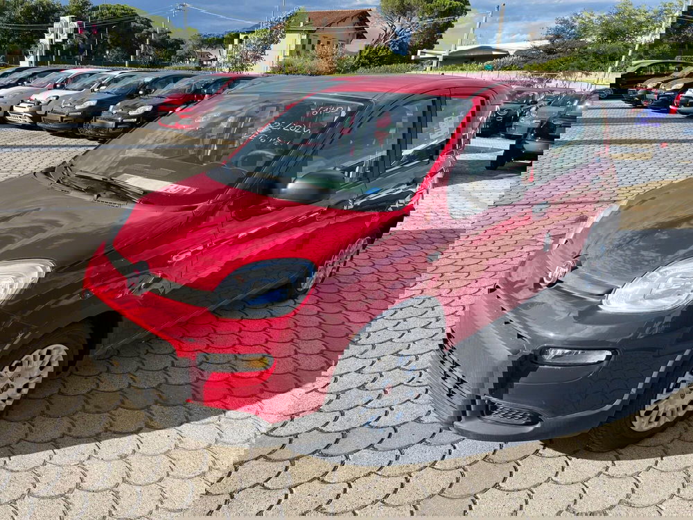 Fiat Panda Cross nuova a Lucca