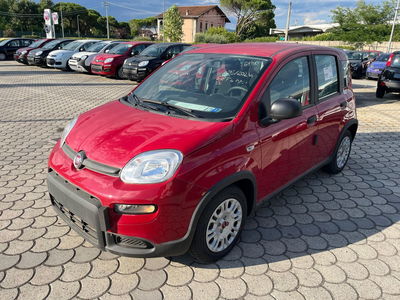 Fiat Panda Cross Cross 1.0 FireFly S&amp;S Hybrid nuova a Altopascio