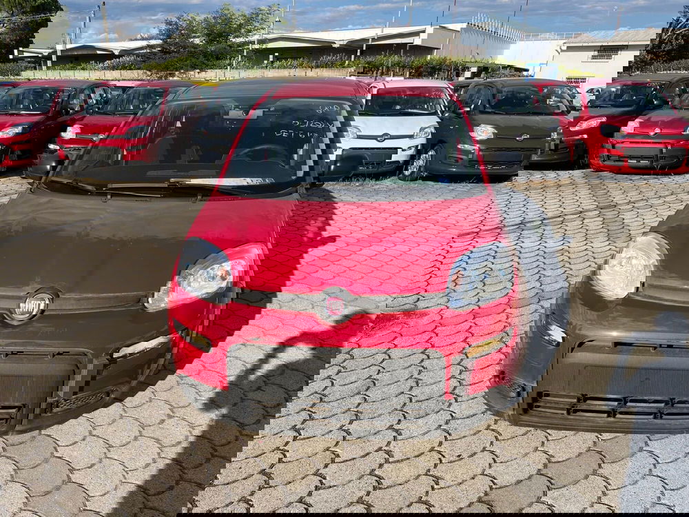 Fiat Panda Cross nuova a Lucca (2)