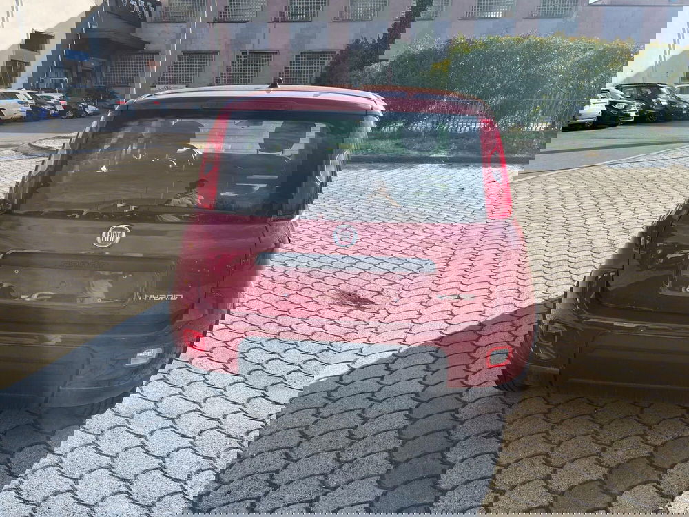 Fiat Panda Cross nuova a Lucca (6)