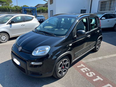 Fiat Panda 1.0 FireFly S&amp;S Hybrid City Cross del 2022 usata a Altopascio