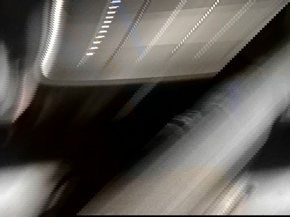 Fiat 600 nuova a Brescia (18)