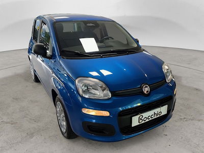 Fiat Panda 1.2 Pop nuova a Desenzano del Garda