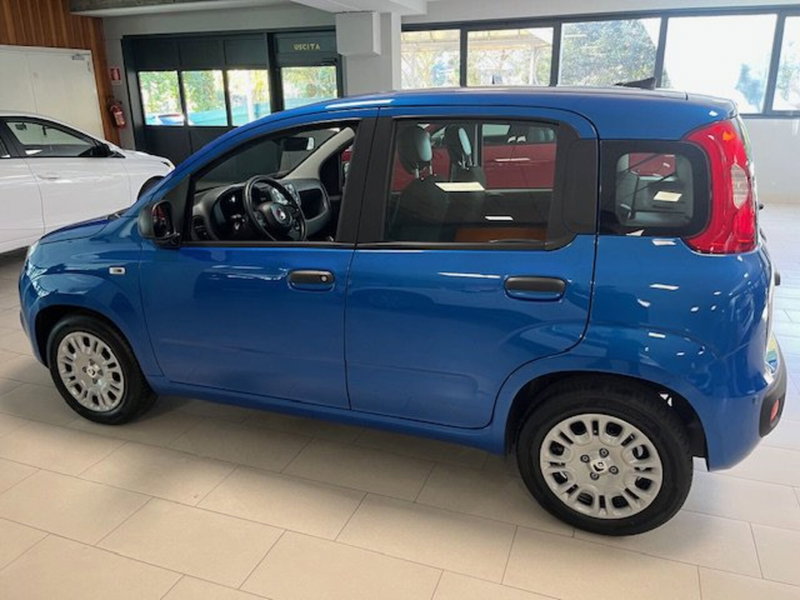 Fiat Panda nuova a Brescia (10)