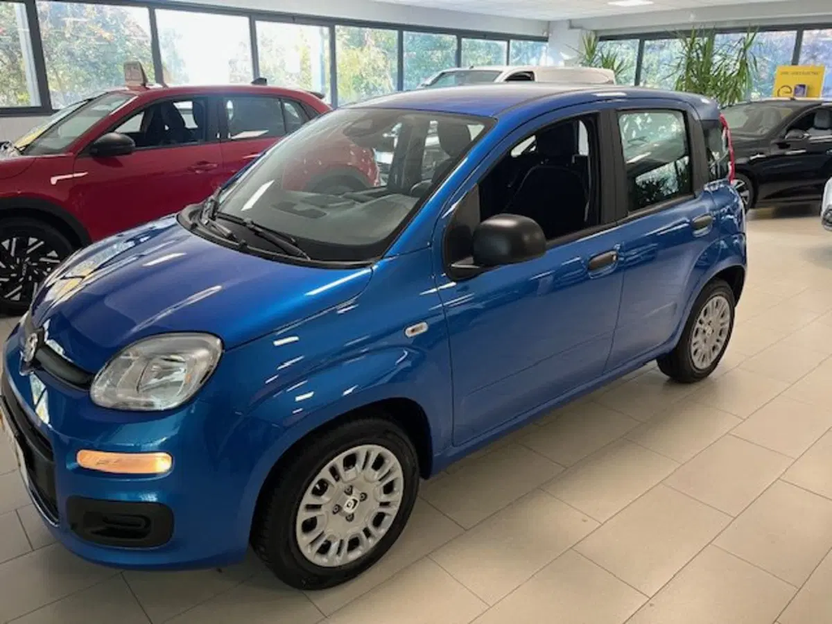 Fiat Panda nuova a Brescia (11)