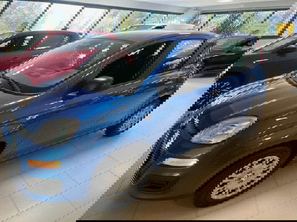 Fiat Panda nuova a Brescia (11)