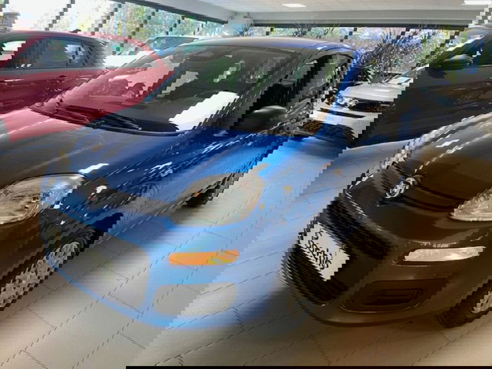 Fiat Panda nuova a Brescia (2)