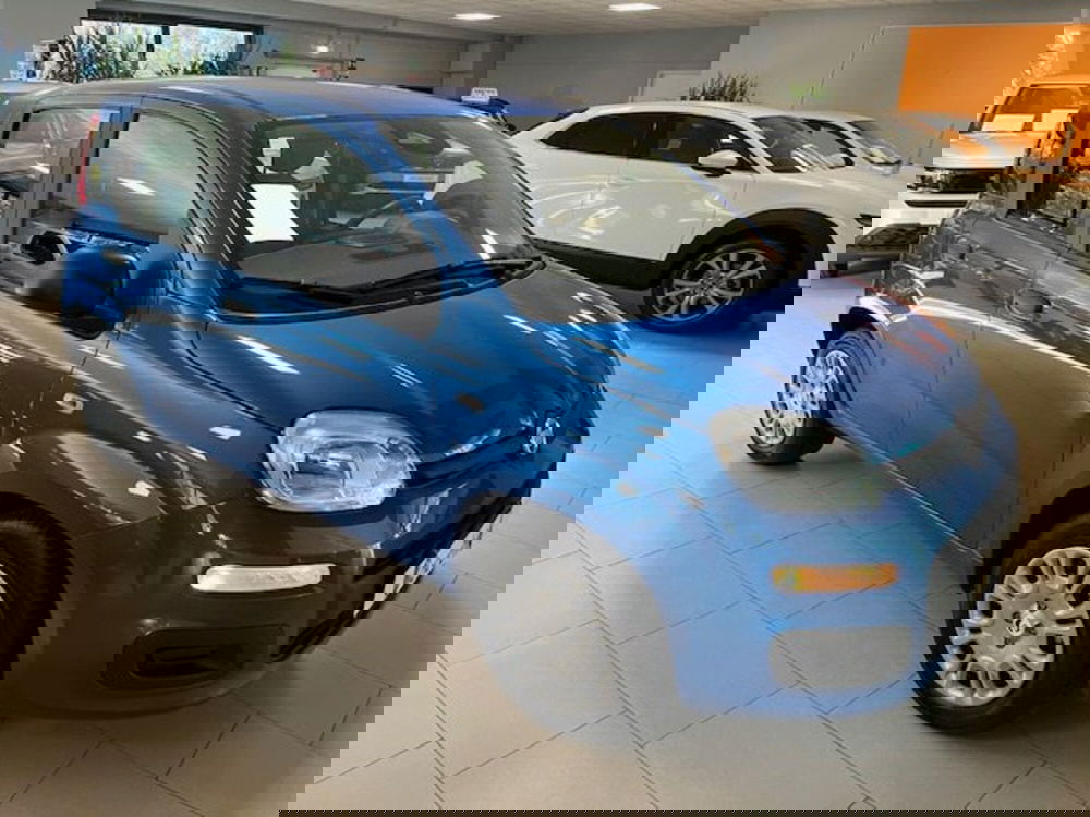 Fiat Panda nuova a Brescia (4)