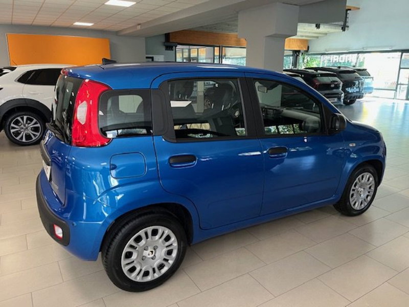 Fiat Panda nuova a Brescia (5)