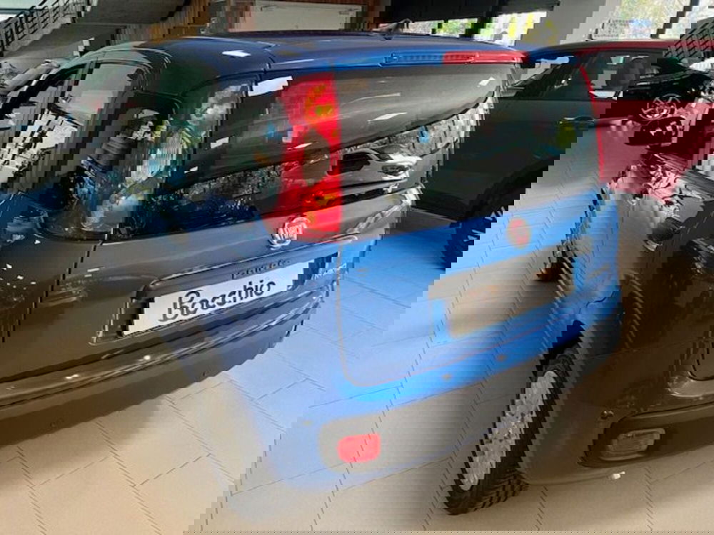 Fiat Panda nuova a Brescia (8)