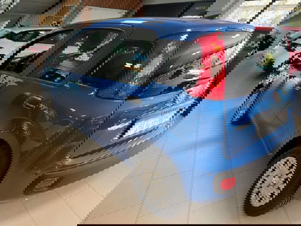 Fiat Panda nuova a Brescia (9)