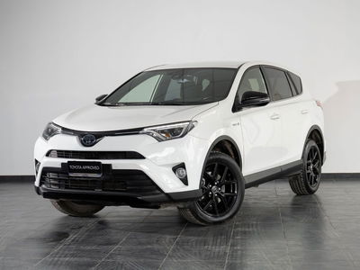 Toyota Rav4 Hybrid 2WD Dynamic del 2018 usata a San Severo