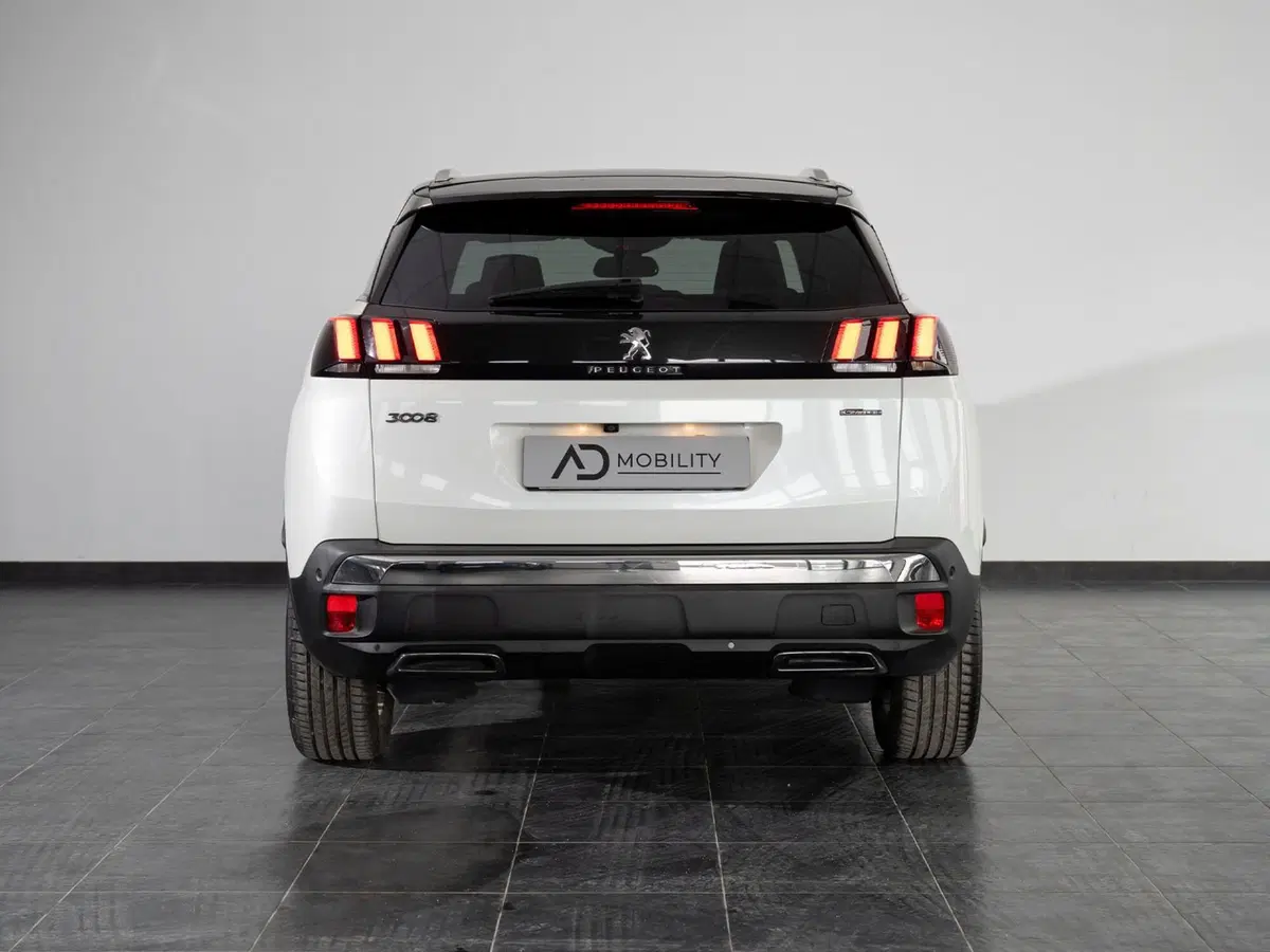 Peugeot 3008 usata a Foggia (3)
