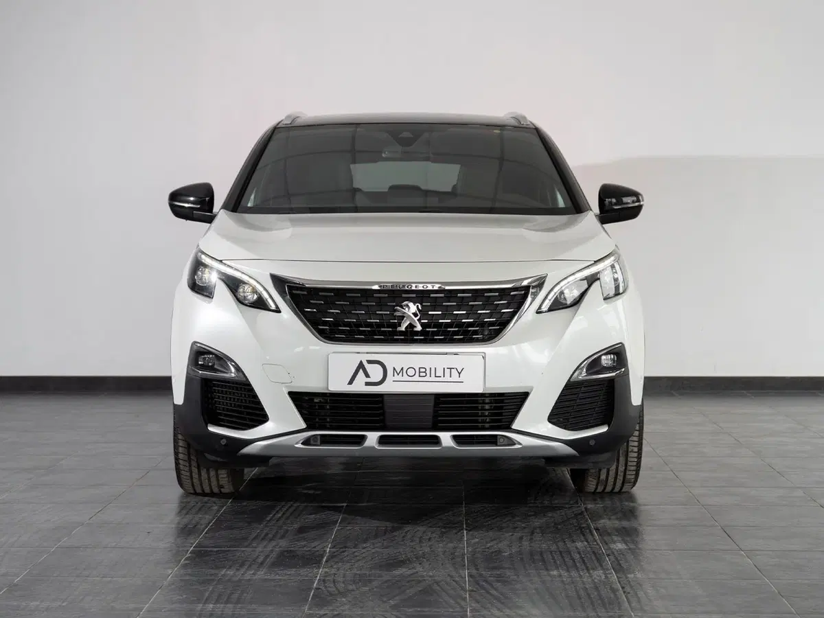 Peugeot 3008 usata a Foggia (4)