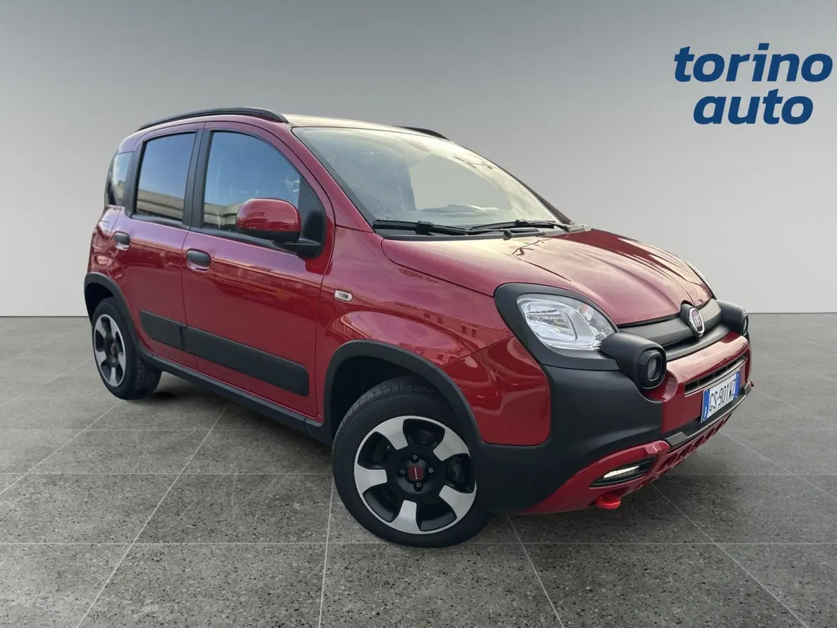Fiat Panda Cross usata a Torino