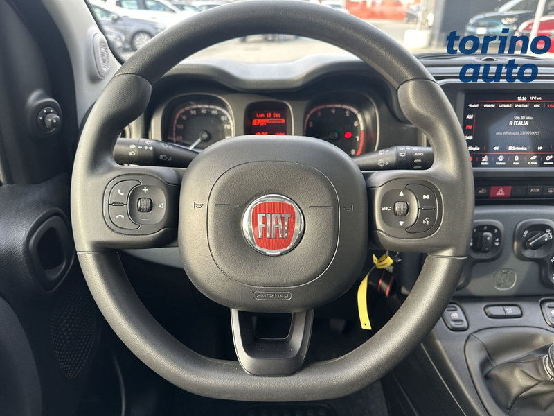 Fiat Panda Cross usata a Torino (16)