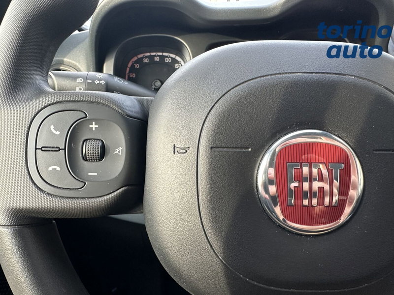 Fiat Panda Cross usata a Torino (17)