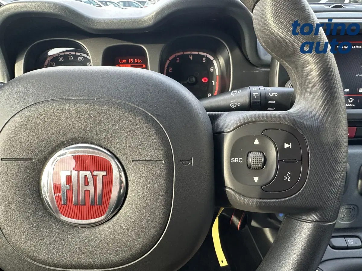 Fiat Panda Cross usata a Torino (18)