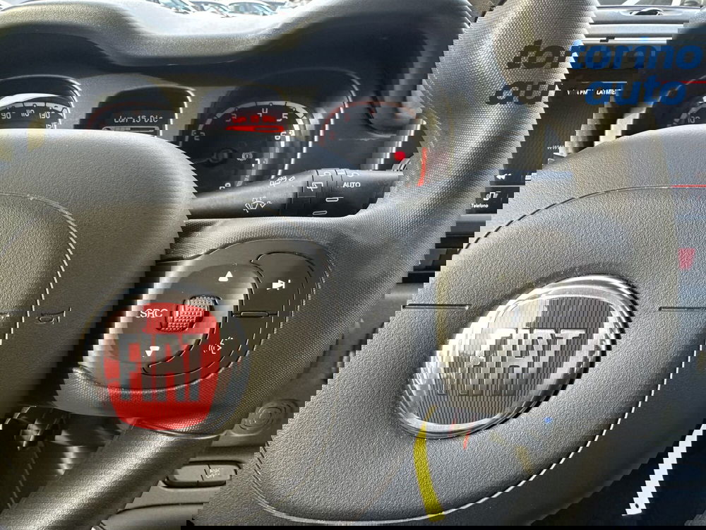 Fiat Panda Cross usata a Torino (18)