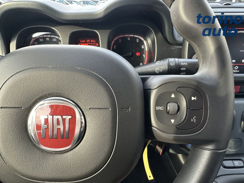 Fiat Panda Cross usata a Torino (18)