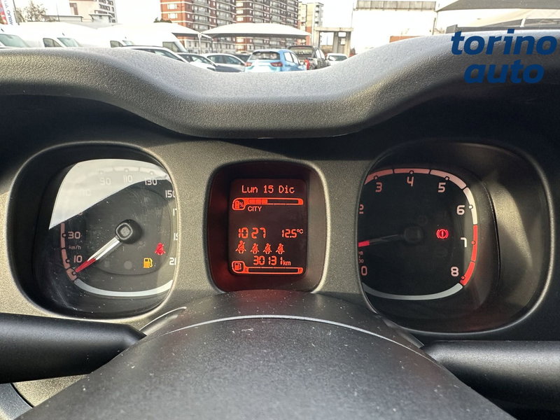 Fiat Panda Cross usata a Torino (19)